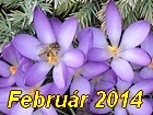 Februar 2014